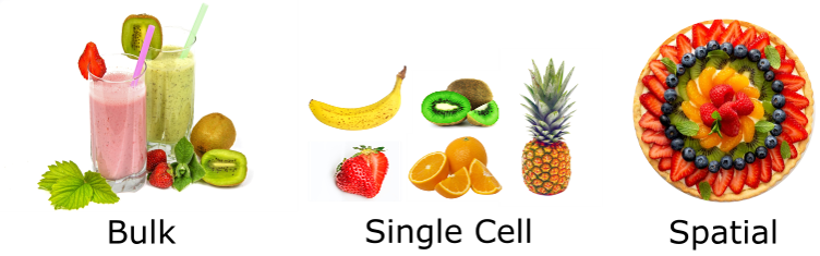 The output of transcriptomics methods pictured as different types of fruit. Bulk RNA depicted as smoothie, Single cell depicted as fruit salad, Spacial transcriptomics depicted as a fruit tart 