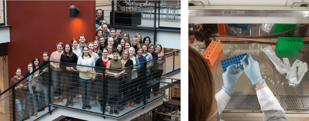 Photo of the Aaltonen group and a photo of a student in the laboratory cutting tissue pieces for research